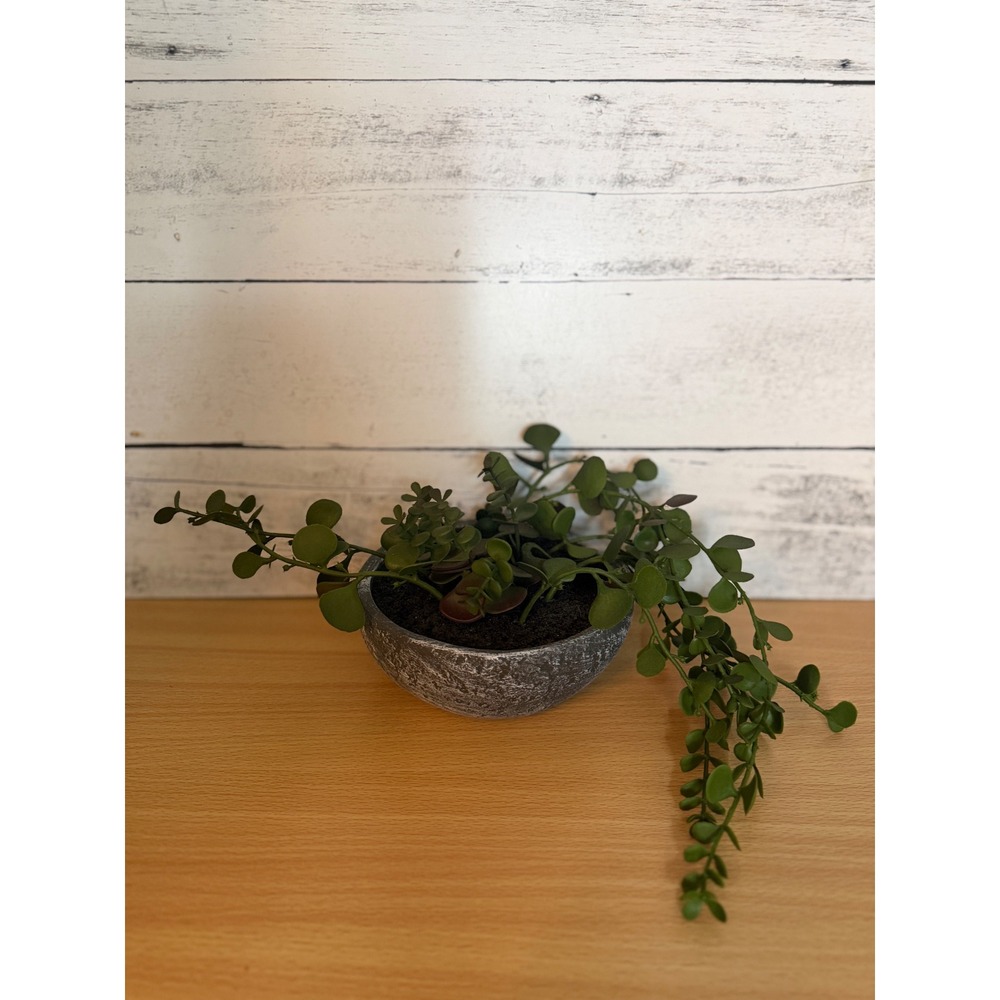 Target boho floral faux potted vine plant